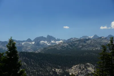 DSC_0243 (Large).JPG